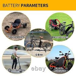 48V 30Ah Lithium Lifepo4 Battery Pack for EBike Scooter 1000W Motor 5A Charger