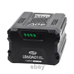 For GreenWorks Pro 60V Max 5.0Ah Lithium-Ion Battery LB604 LB60A02 60 Volt 5 AMP