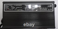 Newcastle Systems B213 Battery Charger 12 Amp, 12 Volt New